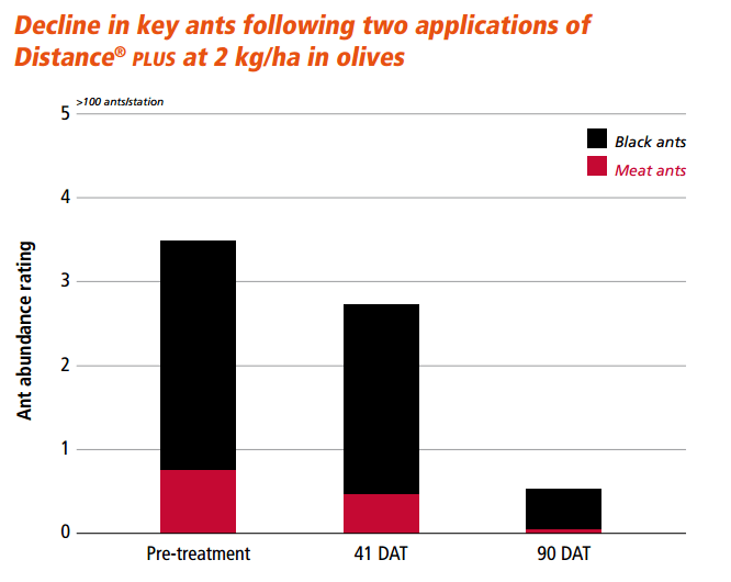 ant-decline-olives1