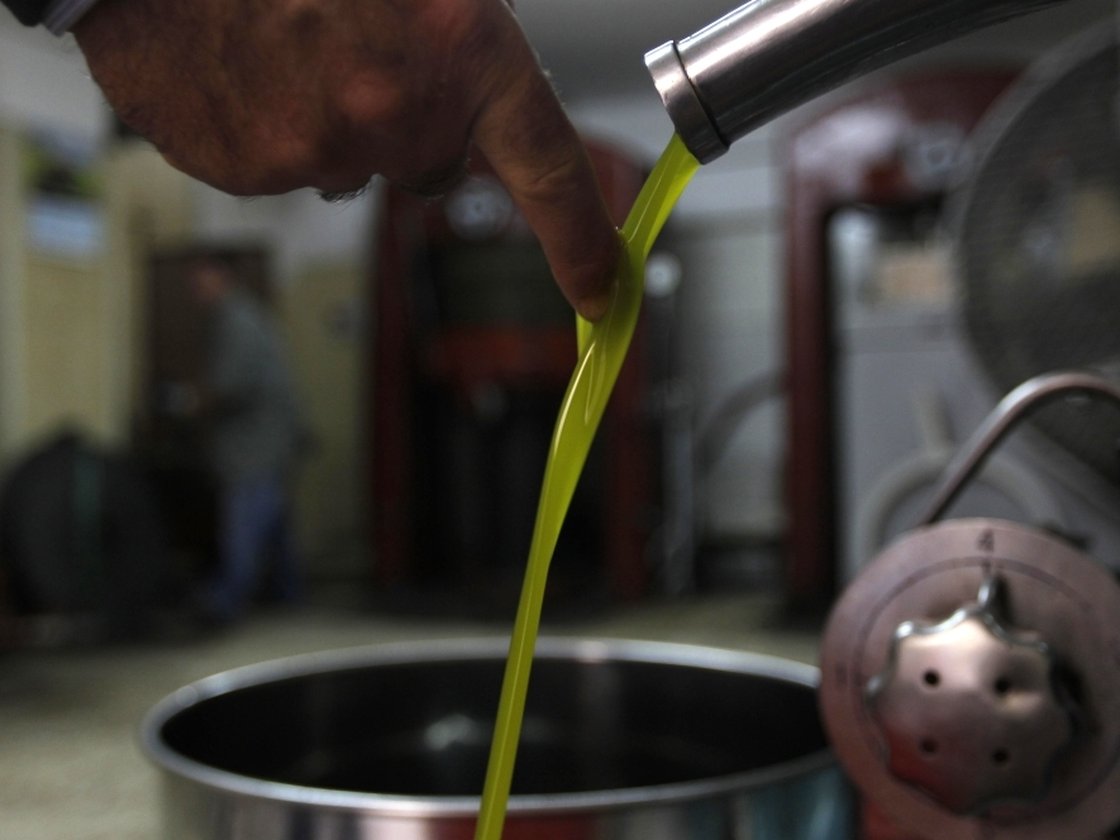 PECTINEX ENZYME TRIALS AT BOVALINA OLIVE OIL PLANT IN ADELAIDE, SA Amanda Bailey on Olives by