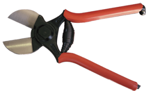 lisamsecs_web-300x187