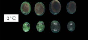 o-degrees-chilling-300x137-1